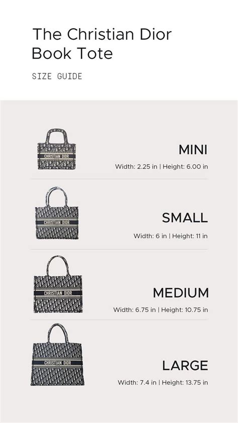 dior tote bag organiser|most popular christian Dior bag.